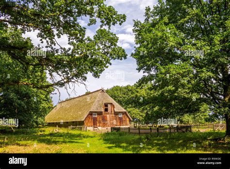 Heide park germany hi-res stock photography and images - Alamy