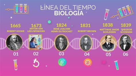 3 BiologÍa Linea De Tiempo