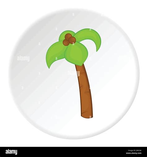 Palm Tree With Coconuts Icon Cartoon Style Stock Vector Image And Art