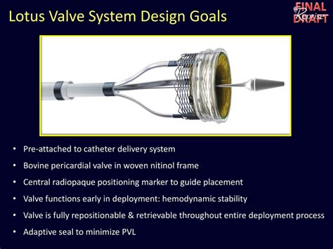 Two Year Outcomes With The Fully Repositionable And Retrievable Lotus