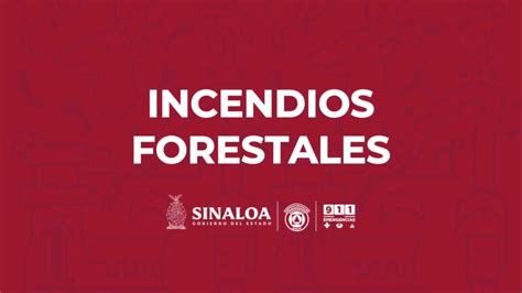 Recomendaciones Para Evitar Incendios Forestales Youtube