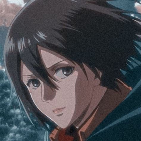 Mikasa Aesthetic Pfp