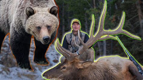 Hunting Elk In Grizzly Bear Country Guy Eastman Wyoming Elk Youtube