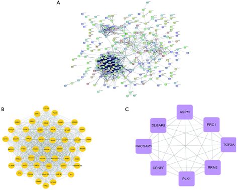 Protein Protein Interaction Network Analysis Of Degs A 316 Degs