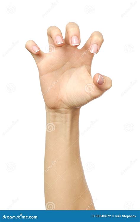 Female Hand Reaching For Something Stock Photo Image Of Grip