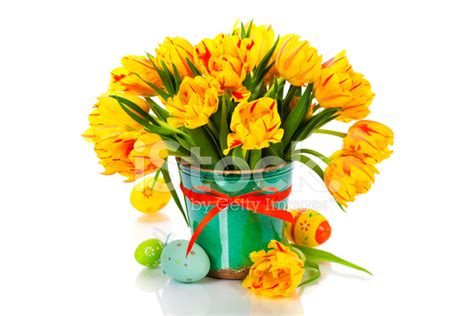 Easter Tulips Stock Photo | Royalty-Free | FreeImages