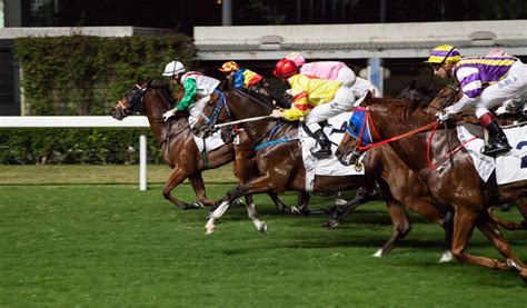 Happy Valley Racecourse | Hong Kong Cheapo