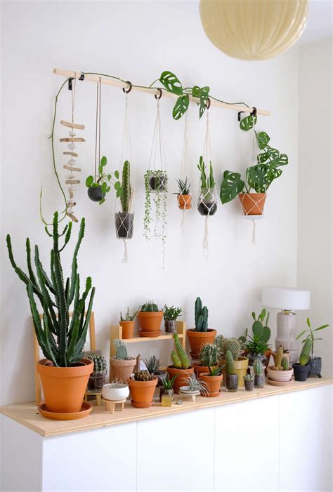 DIY hanging plant wall with macrame planters