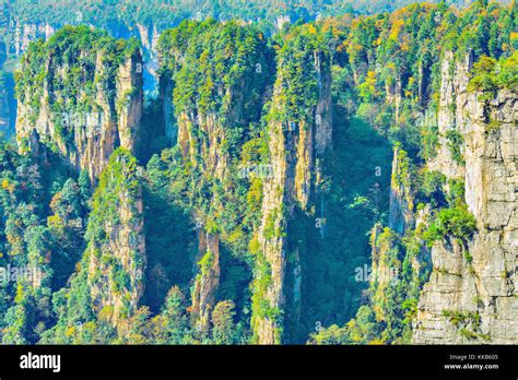 Colorful cliffs in Zhangjiajie Forest Park at sunrise time. China Stock ...