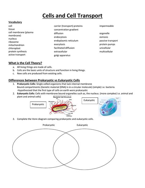 Passive Vs Active Transport Venn Diagram Passive Venn