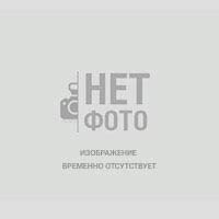 Датсун он до топливный фильтр. Сетка топливная Лада Гранта, Калина 2 ...