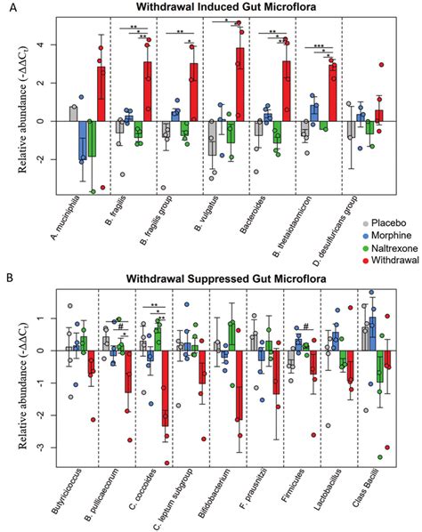 Relative Abundance Of Gut Microflora From Rat Cohort Barplots Display