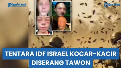 Babak Belur Ribuan Tawon Tiba Tiba Serang Tentara Idf Israel Youtube