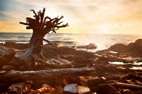 BEACHES — The Gem of the Oregon Coast