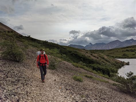 Camping in Denali National Park