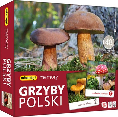 GRZYBY POLSKI Adamigo Memory Adamigo