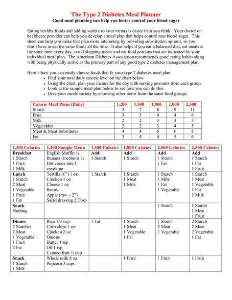 The Type 2 Diabetes Meal Planner Download Printable PDF | Templateroller