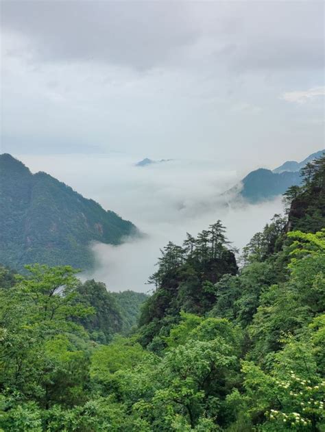 杭州大明山景区游玩攻略简介杭州大明山景区门票地址图片开放时间照片门票价格【携程攻略】