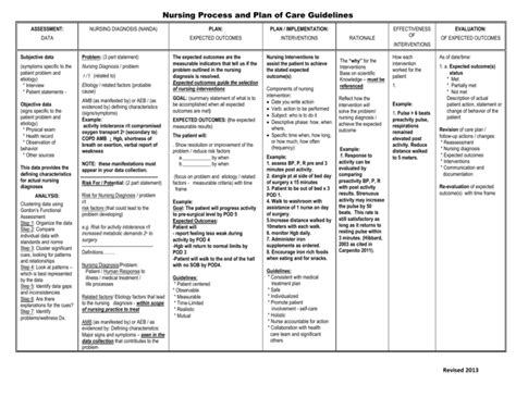 Nursing Process And Plan Of Care Guidelines