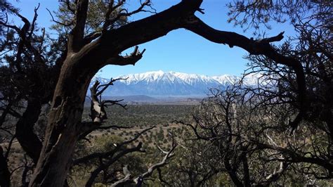 Carson Valley Trail Map For The New Pinyon Trail