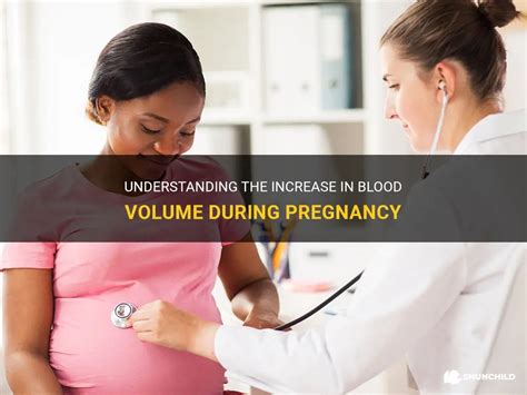 Understanding The Increase In Blood Volume During Pregnancy Shunchild