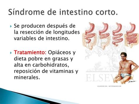 S Ndrome De Malabsorci N Intestinal Ppt