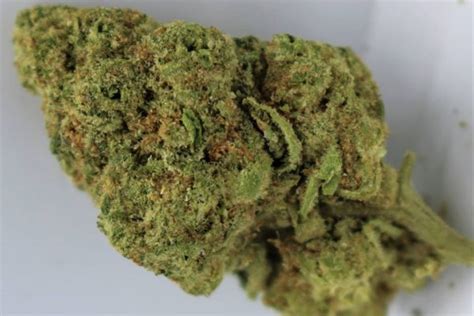 Strain Review Apple Fritter By Lumpy S Flowers The Highest Critic