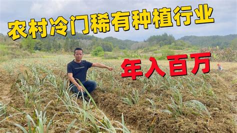 农村新型冷门暴利种植行业，仅靠40亩地，一年就收入百万，真羡慕三农农业技术好看视频