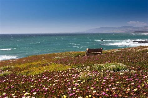 Things To Do In Cambria, CA + Where to Stay and Eat! - Finding the Universe