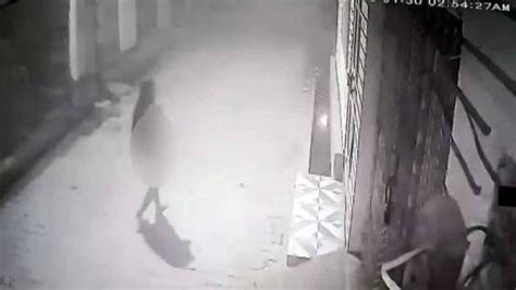 Naked Woman బబయ అరథరతర వధలల నగనగ తరగత ఇట డరల తడతనన మహళ