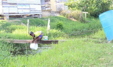 Sophia water woes - Stabroek News