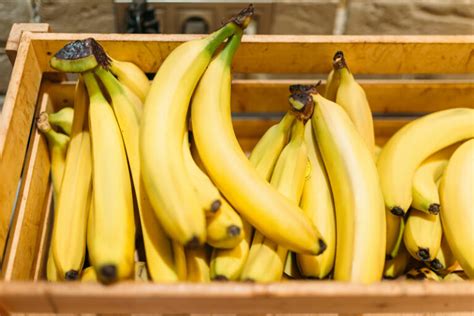 LONDRES Tropic Inicia revolución genética en la industria del banano