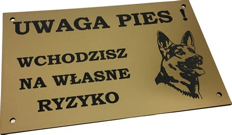 TABLICZKA UWAGA PIES złota zewnętrzna grawer tabliczka pies Cena