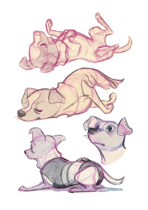 Character Design Collection Dogs Daily Art References Disegnare