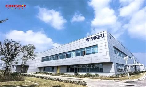 Consortsolarwuxi Weifu Mw Distributed Photovoltaic Power Generation