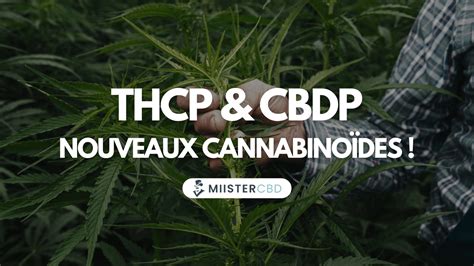 Thcp And Cbdp Are They The Cannabinoids Of The Near Future