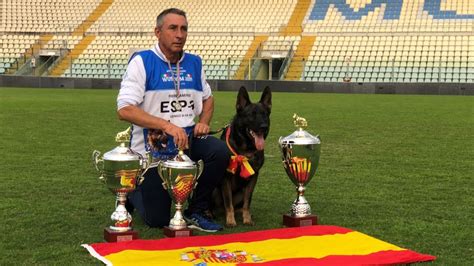 Lerma acogerá el Mundial de Adiestramiento de Perro de Pastor Alemán ...