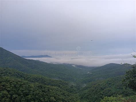 Amba Ghat is a Mountain Pass Stock Image - Image of tree, horizon ...