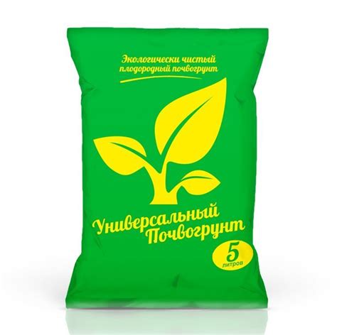 Болезни рассады томатов и их лечение в домашних условиях - что делать ...