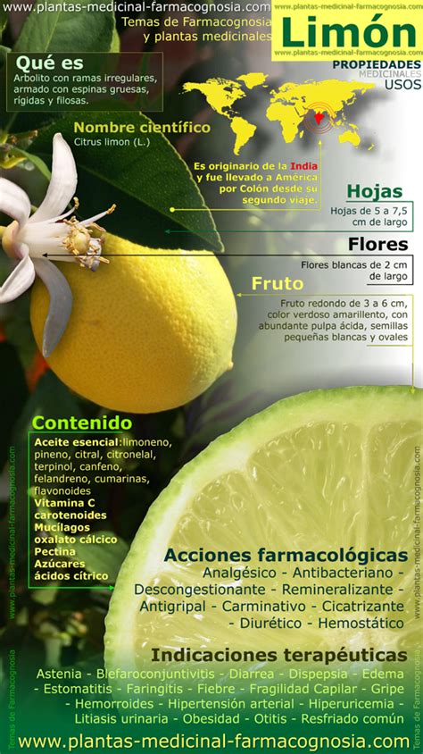 Propiedades del Limón Infografía Farmacognosia Plantas medicinales