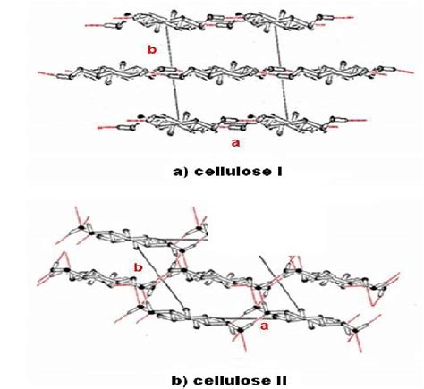 Structures Of Cellulose Chain Types I And Ii Kroon Batenburg And