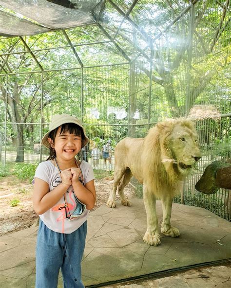 Faunaland Ancol Lokasi Dan Harga Tiket Masuk Terbaru Januari