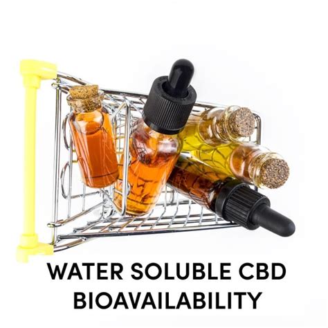 Water Soluble Cbd Bioavailability Get The Most Out Of Cbd Tanasi