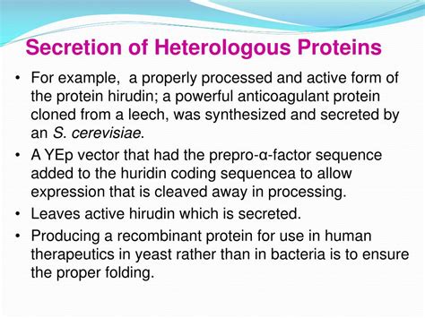 Ppt Heterologous Protein Production In Eukaryotic Cells Powerpoint Presentation Id4358368