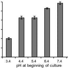 Terpene Titers Of R Toruloides Transformants A Bisabolene And B