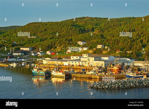 Fishing Village In La Scie Harbour Off The Atlantic Ocean Baie Verte