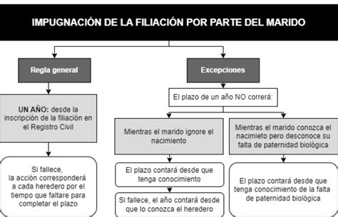 Qui N Puede Ejercitar La Acci N De Impugnaci N De La Filiaci N