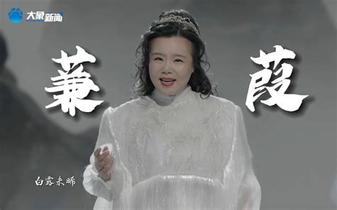 龚琳娜在河南卫视小年夜柔情演绎《蒹葭》，听完想谈恋爱的请举手哔哩哔哩bilibili