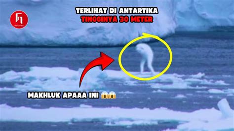 Makhluk Apa Ini 10 Misteri Antartika Yang Masih Belum Terpecahkan