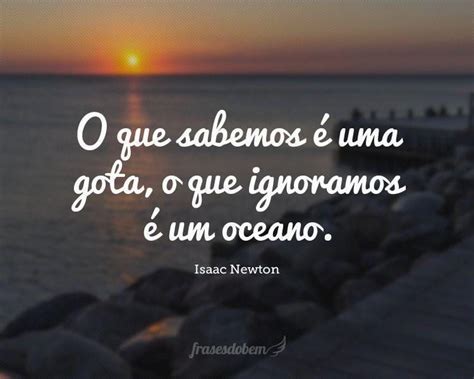 O Que Sabemos é Uma Gota O Que Ignoramos é Um Oceano Frases E